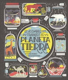 Planeta tierra