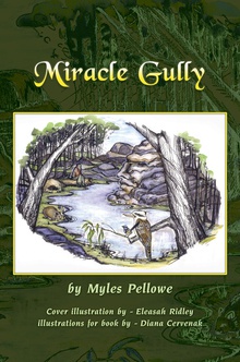 Miracle Gully