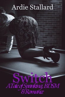 Switch: A Tale of Spanking, BDSM & Romance