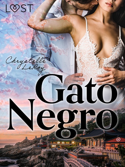 Gato Negro