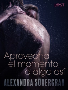 Aprovecha el momento, o algo así - Relato erótico