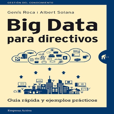 Big data para directivos (Sólo streaming)