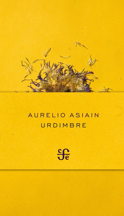 Urdimbre