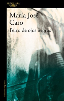 Perro de ojos negros