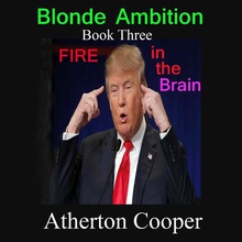 Blonde Ambition - Book Three - Fire in the Brain