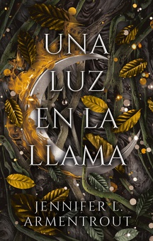 LUZ EN LA LLAMA, UNA (CHI)