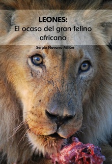 LEONES: El ocaso del gran felino africano