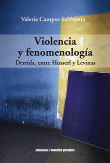 Violencia y fenomenología