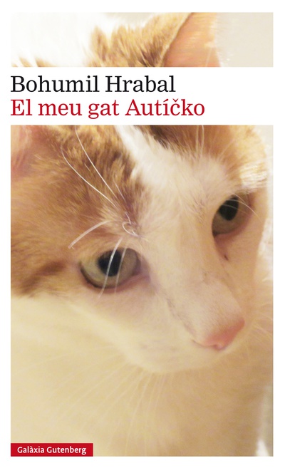El meu gat Auticko