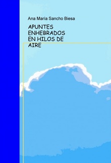 APUNTES ENHEBRADOS EN HILOS DE AIRE