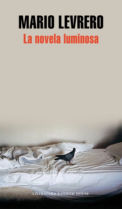 La novela luminosa