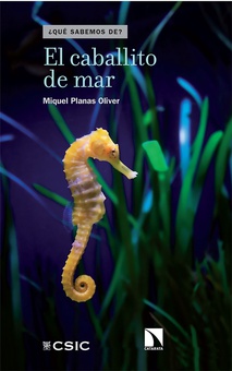 El caballito de mar