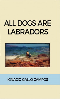 All dogs are Labradors
