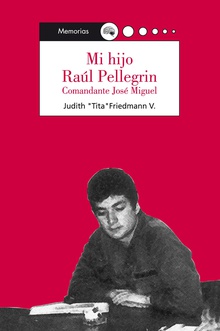 Mi hijo Raúl Pellegrin