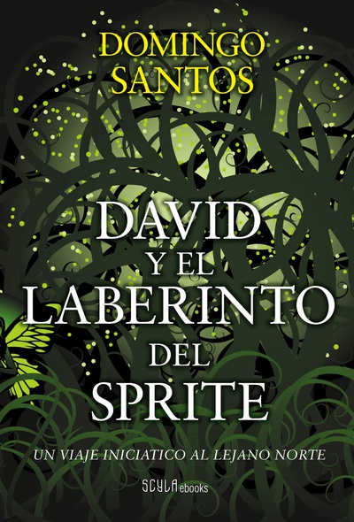David y el laberinto del sprite