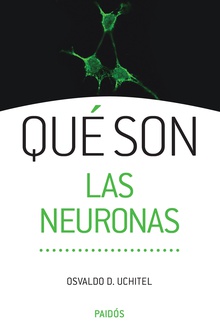 Qué son las neuronas